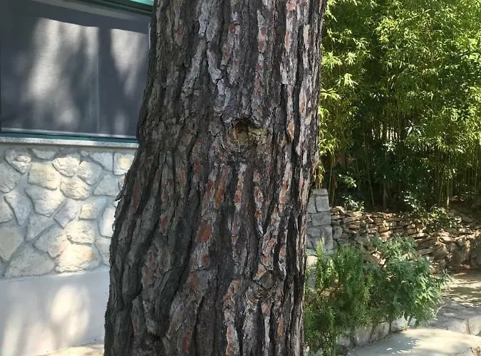 Sunshine Apartment *