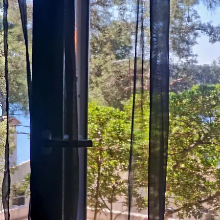 Apartment Sunshine