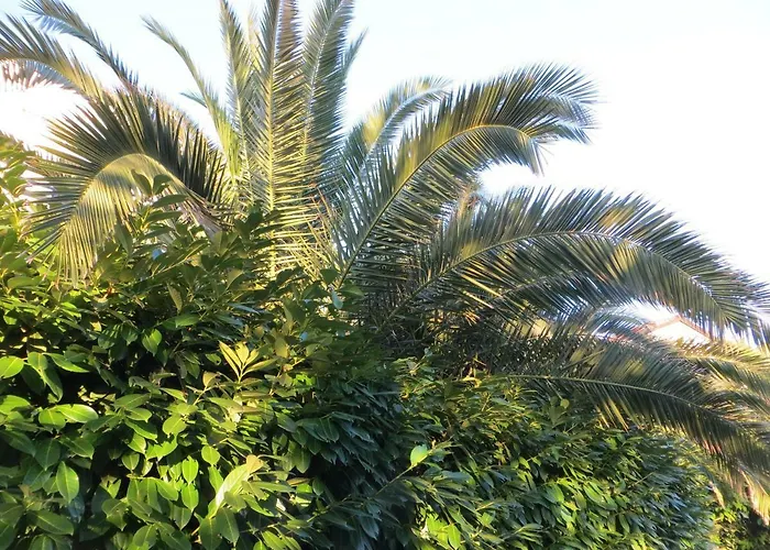 Διαμέρισμα Sunshine