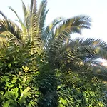 Lejlighed Sunshine
