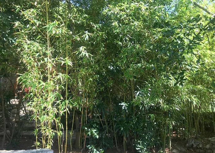 Sunshine * Mali Lošinj